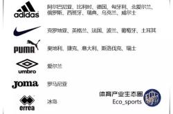 瑞士队对阵爱尔兰，谁能笑到最后取得胜利